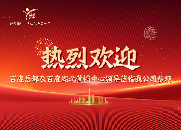 百度總部及湖北營(yíng)銷(xiāo)中心領(lǐng)導(dǎo)蒞臨我司，共繪合作新藍(lán)圖